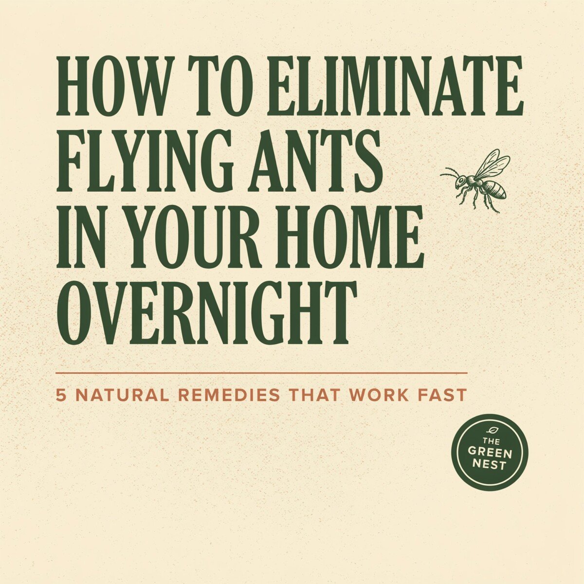 How to Eliminate Flying Ants in Your Home Overnight: Fast, Effective Methods That Work